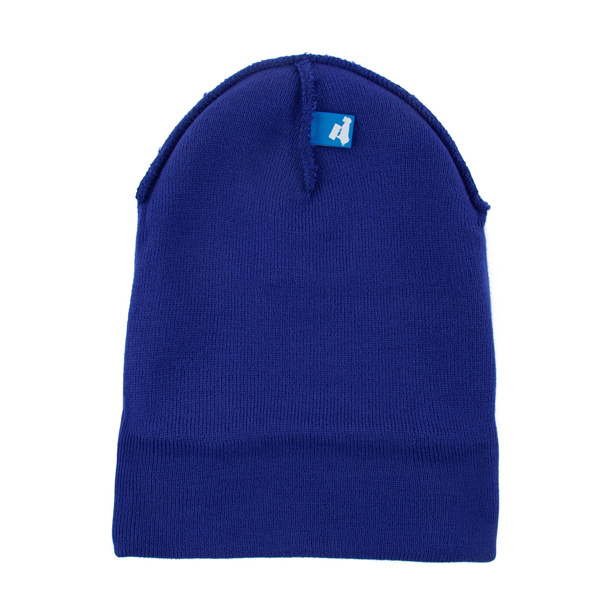 DASH Beanie - BLUE